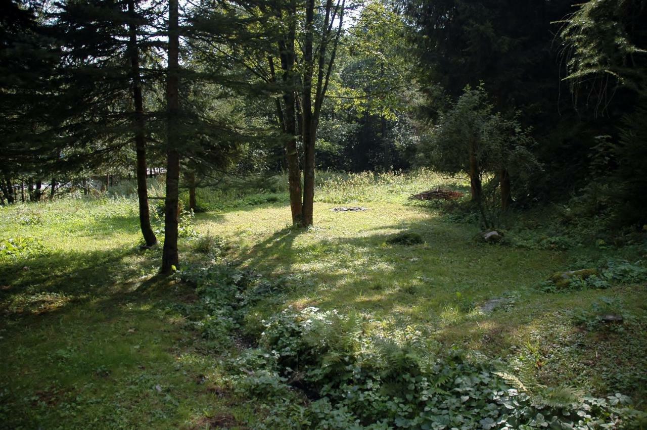 Orli Hnizdo Villa Černý Dŭl Exteriör bild