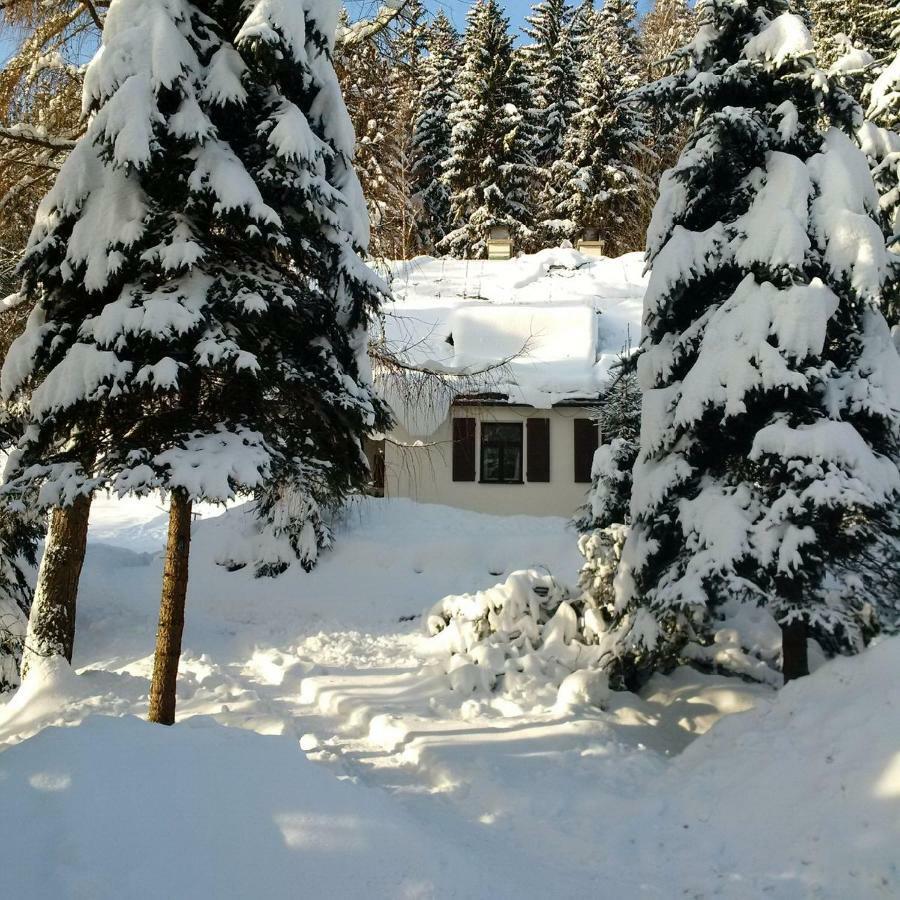 Orli Hnizdo Villa Černý Dŭl Exteriör bild