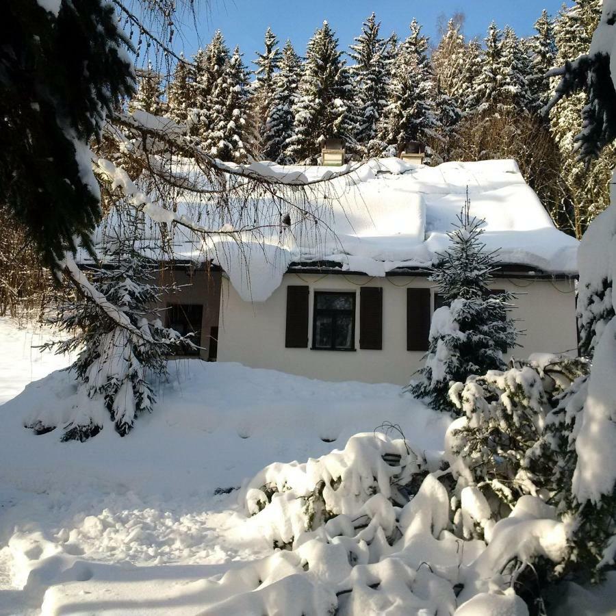 Orli Hnizdo Villa Černý Dŭl Exteriör bild